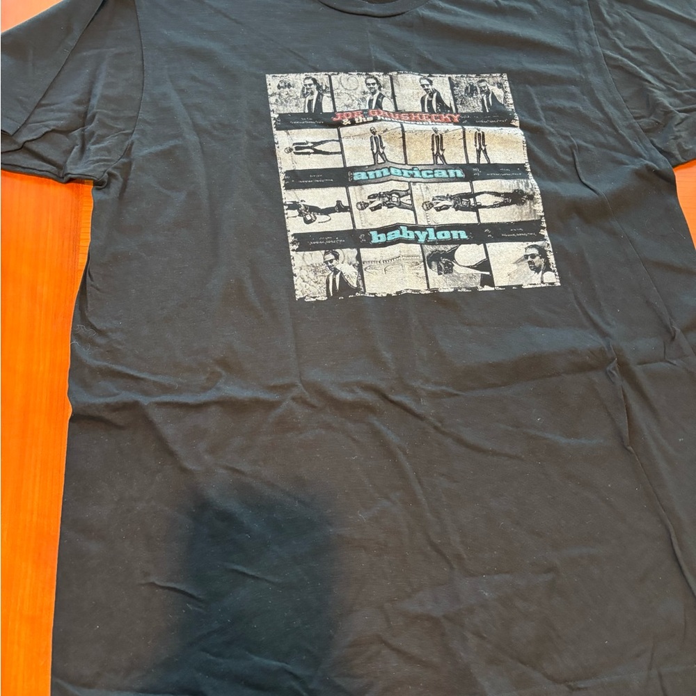 Joe Grushecky Houserockers American Babylon T-Shirt S Springsteen Concert 2010